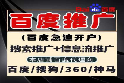 某某SEM团队成功案例：广告投放策略揭秘